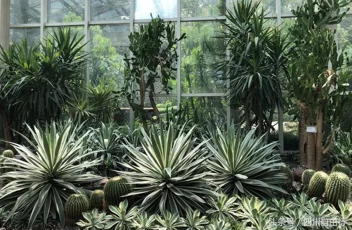 推荐成都5日游最完美攻略,有没有详细的成都旅游攻略