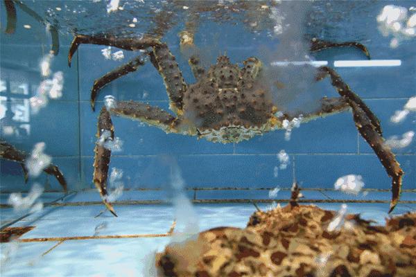 瓒呯骇宸ㄥ瀷澶у瀷榫欒櫨,宸ㄥ瀷澶у瀷榫欒櫨