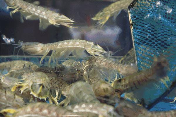 瓒呯骇宸ㄥ瀷澶у瀷榫欒櫨,宸ㄥ瀷澶у瀷榫欒櫨