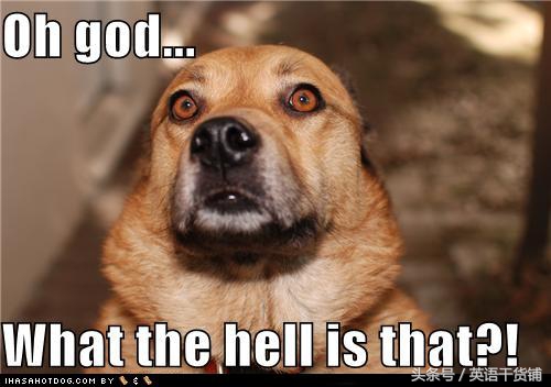 这份测试如果你全都答对,“英美文化通”非你莫属了!