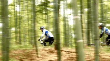 杭州民宿真实评价,杭州民宿真的很好吗