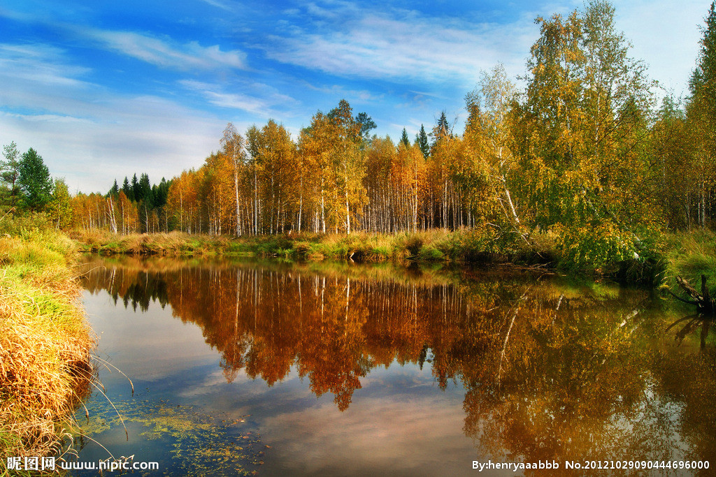 微生物研究所考研,植物学考研经验分享