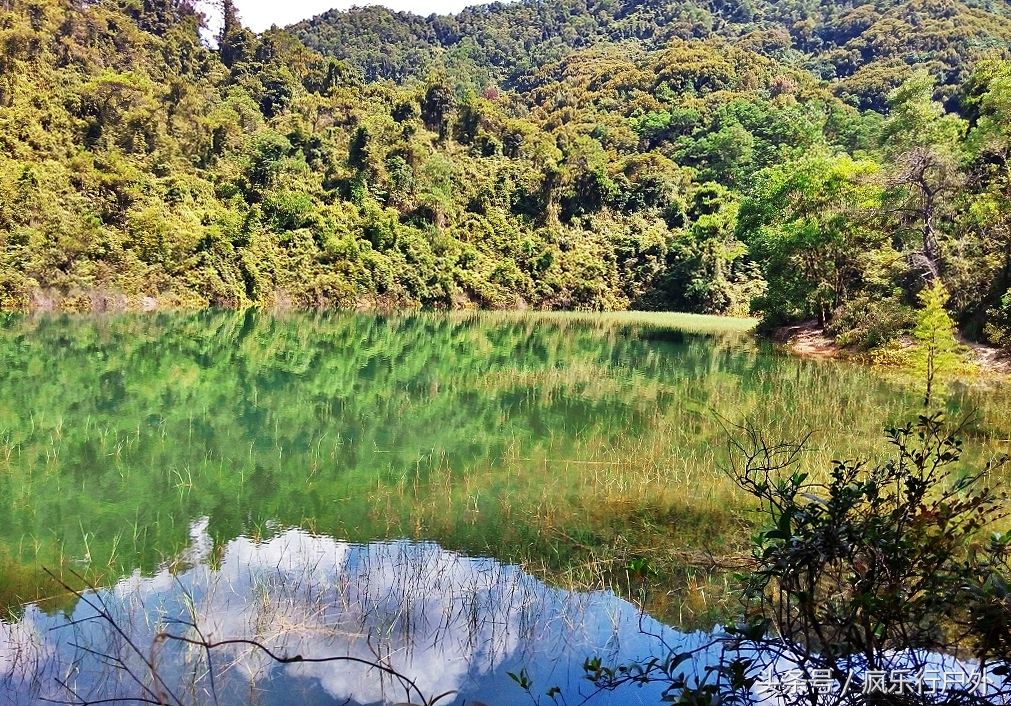 广东中山的五桂山秘境,中山煎鱼湾的入口