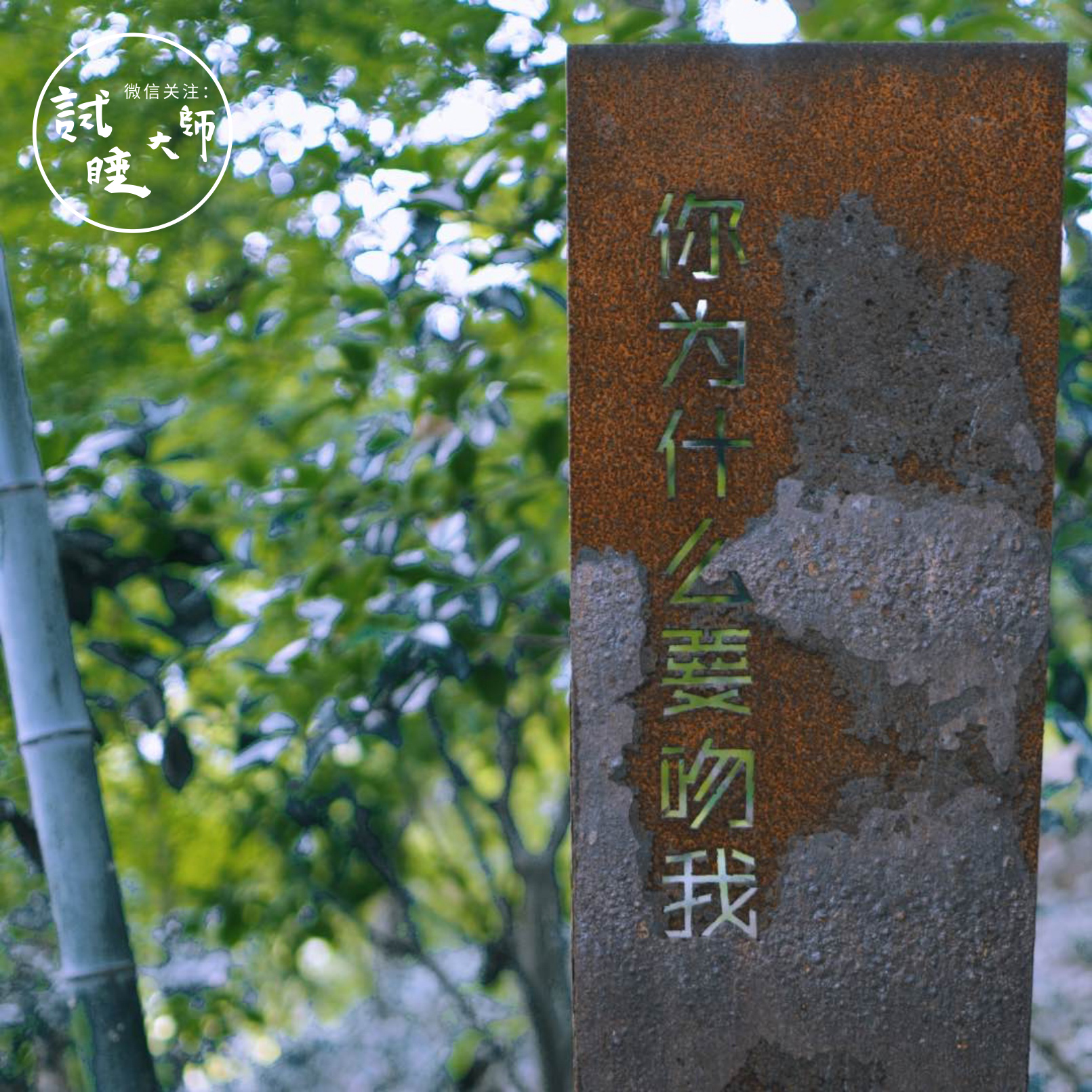 艺术性酒店浴缸,专为女性而设计的寝具