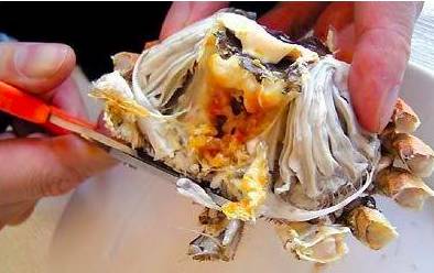 「健康」你真的会吃螃蟹?这四个部位万万不能吃!