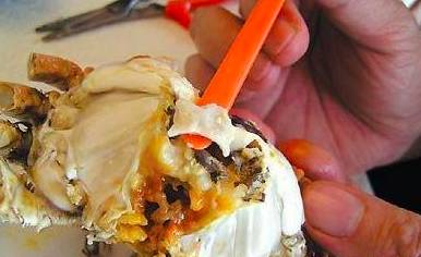 「健康」你真的会吃螃蟹?这四个部位万万不能吃!