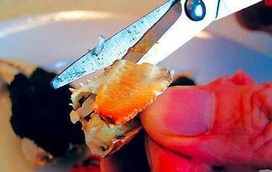 「健康」你真的会吃螃蟹?这四个部位万万不能吃!