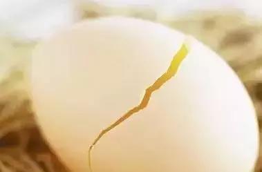 鸡蛋虽好但这7种蛋最好别吃,吃蛋的五大禁忌