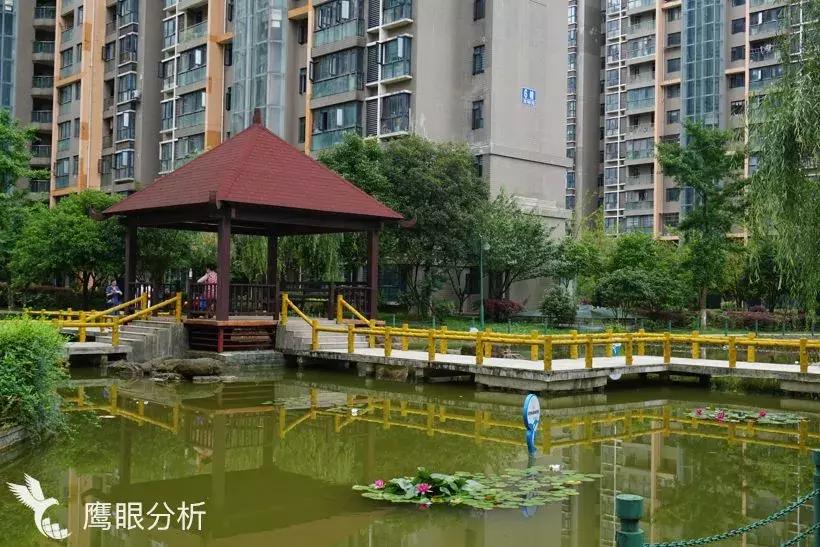 世纪城和会展城,杭州世纪城vs花果园