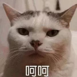 世纪城和会展城,杭州世纪城vs花果园