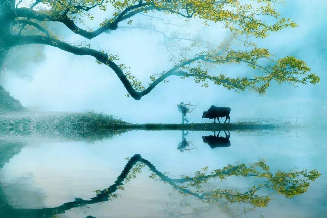 回文诗经典,令人叫绝的回文诗