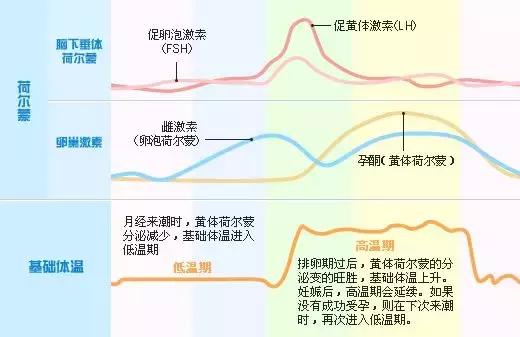 月经量少，体内毒素排不出来怎么办？