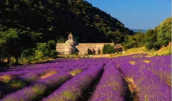 还用出国旅游？到了通辽，就等于去了全世界