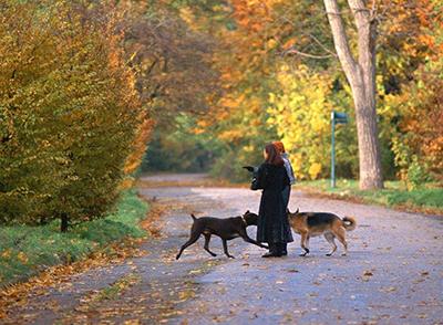 经验分享:我为什么选择去做互惠生