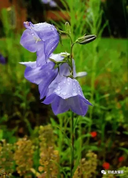 风光摄影师必备偏振镜,拍风光是用偏振镜还是nd镜