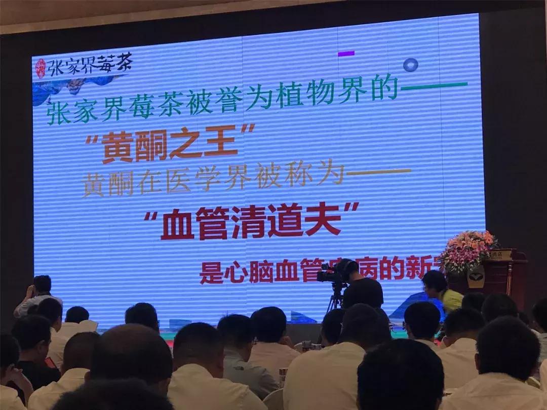 张家界莓茶将亮相茶博会,张家界莓茶文化节新闻发布会