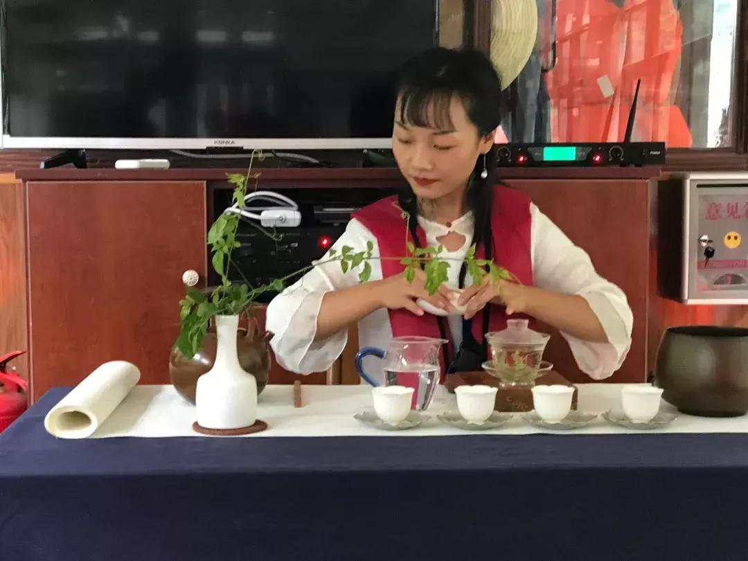 张家界莓茶将亮相茶博会,张家界莓茶文化节新闻发布会