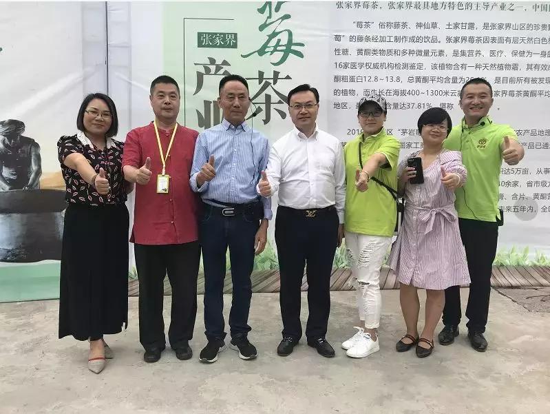 张家界莓茶将亮相茶博会,张家界莓茶文化节新闻发布会