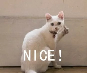 95开头的推销诈骗电话,95开头的推销电话哪儿来的