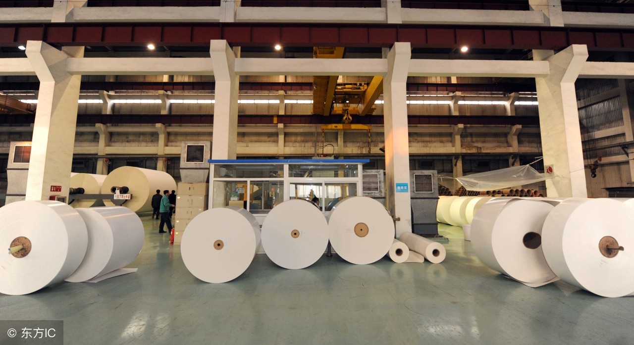 中国桉树有什么用途和作用,国家对桉树是什么态度