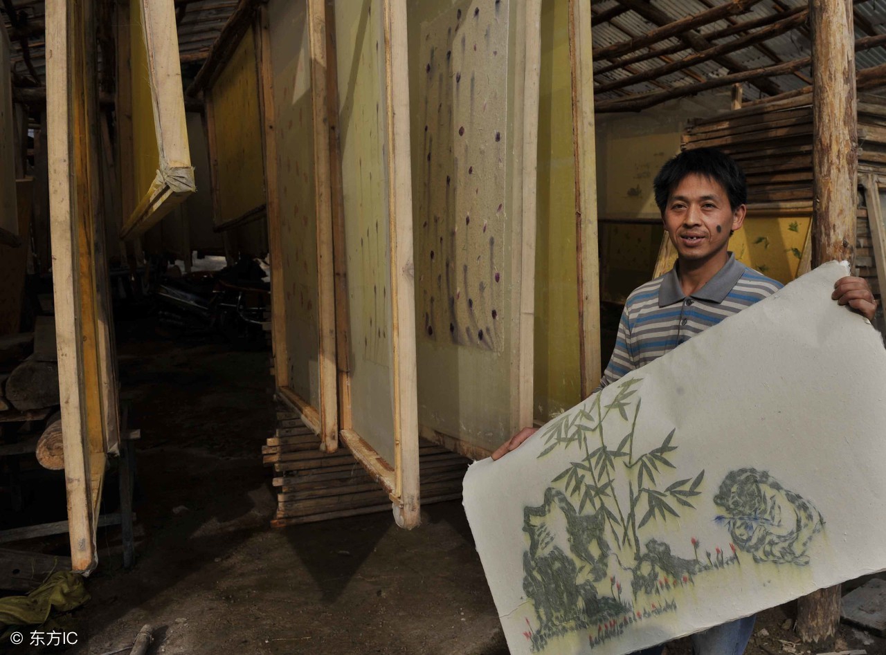 中国桉树有什么用途和作用,国家对桉树是什么态度