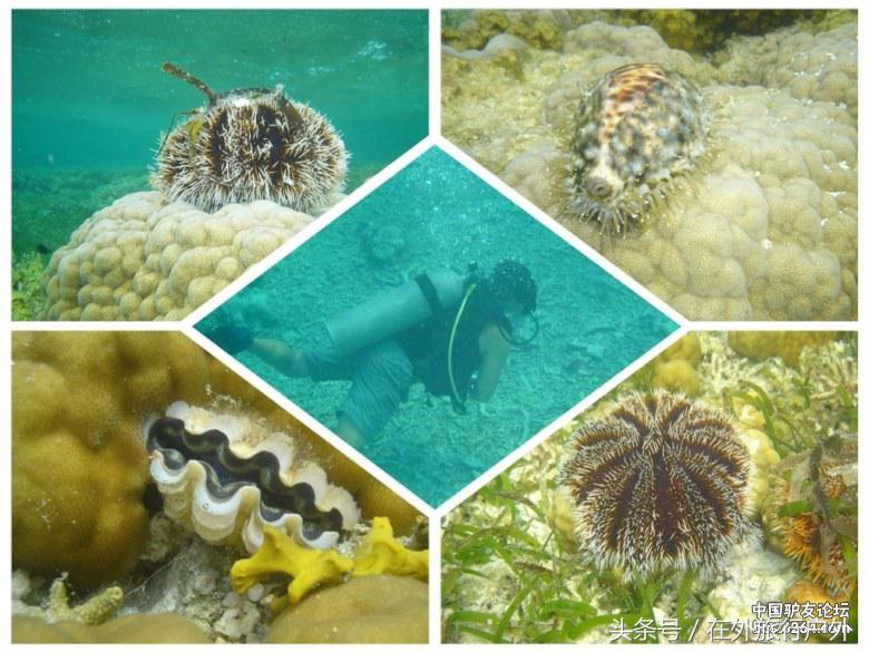 中国地图西沙群岛的位置图片,中国西沙群岛全景