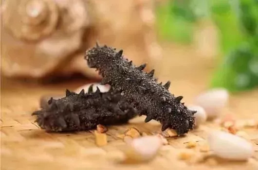 66岁母亲卖海参,老人用白菜价买海参