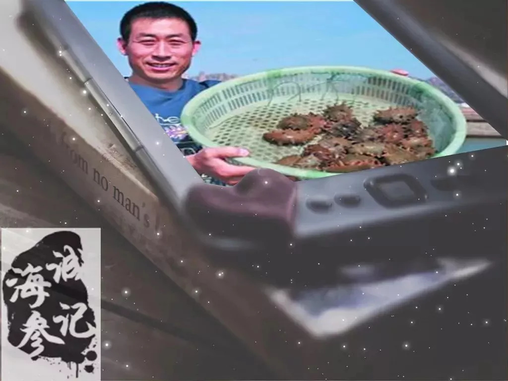 66岁母亲卖海参,老人用白菜价买海参