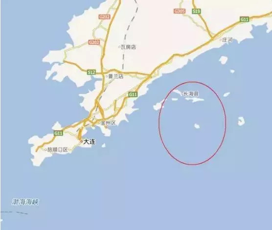 66岁母亲卖海参,老人用白菜价买海参