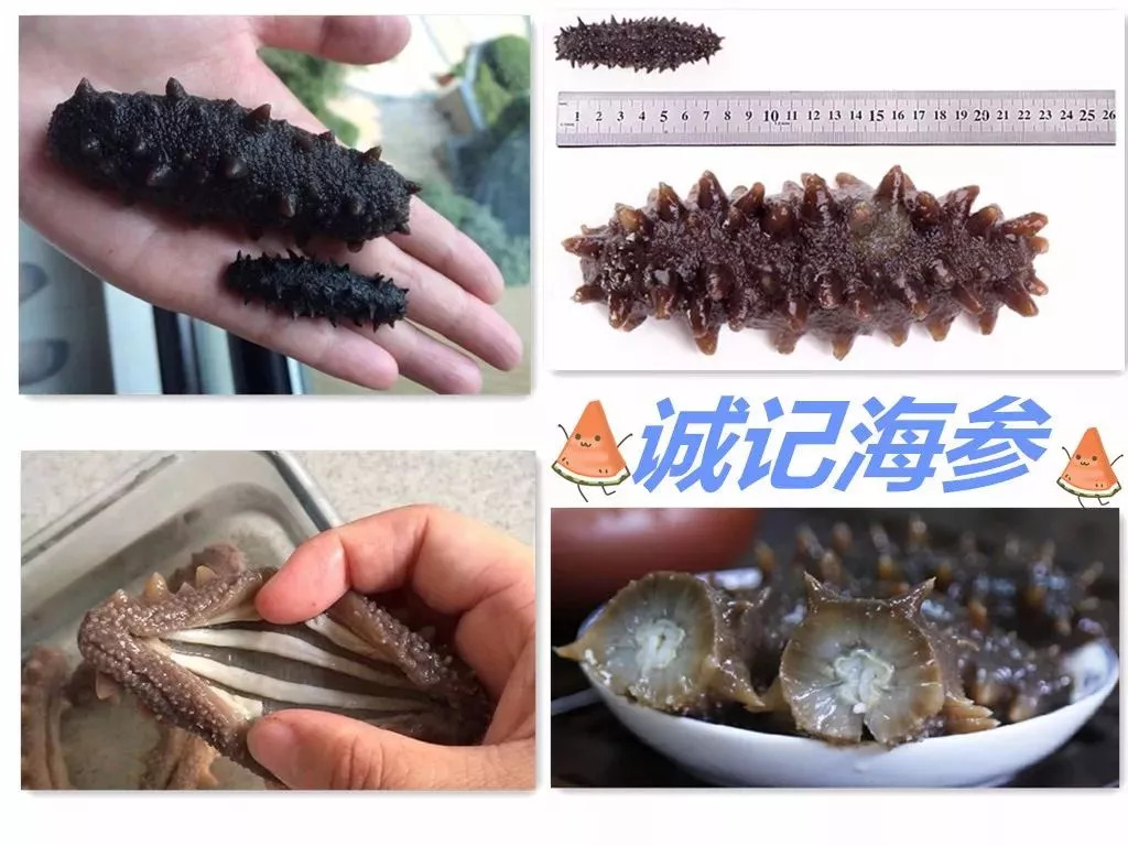 66岁母亲卖海参,老人用白菜价买海参