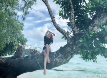 七周年盛典主播,英雄联盟七周年明星邀请赛