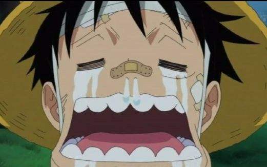 成都装修公司跑路,成都装修公司跑路最新