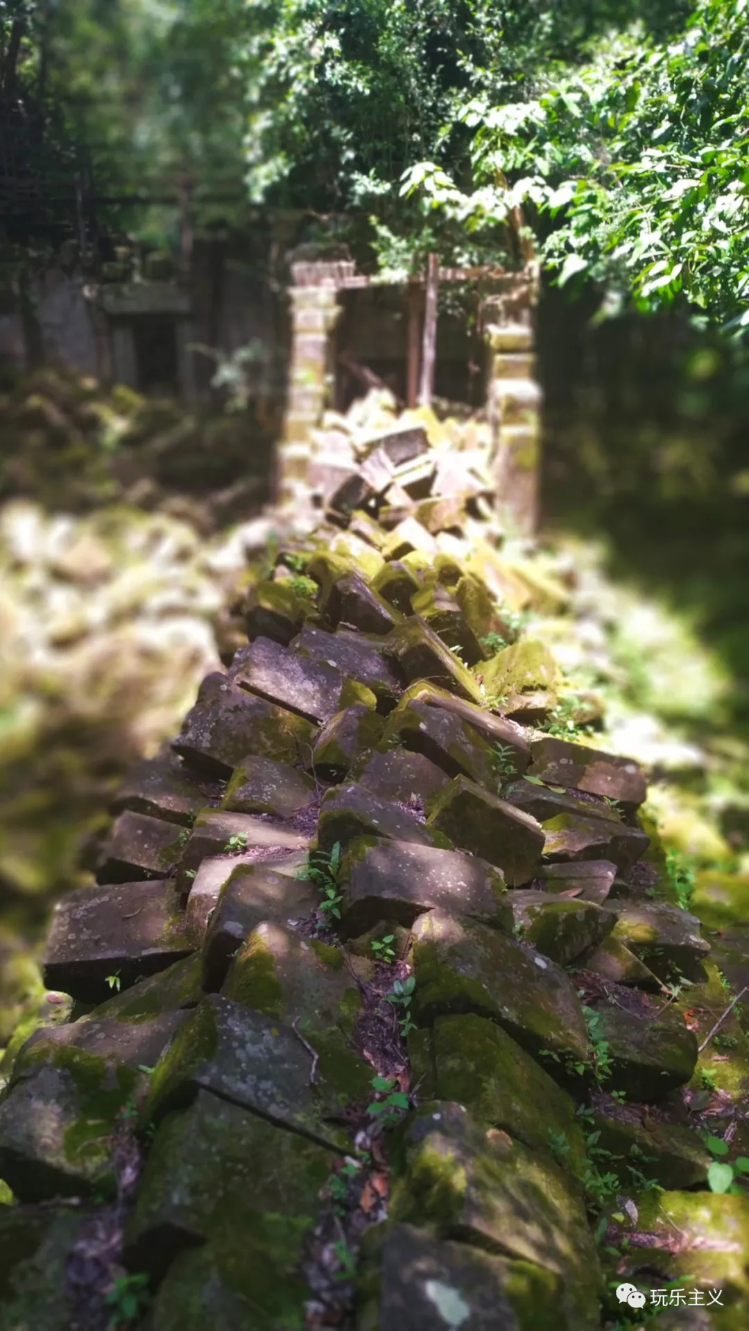 吴哥游玩详细攻略 (想把吴哥逛美了)