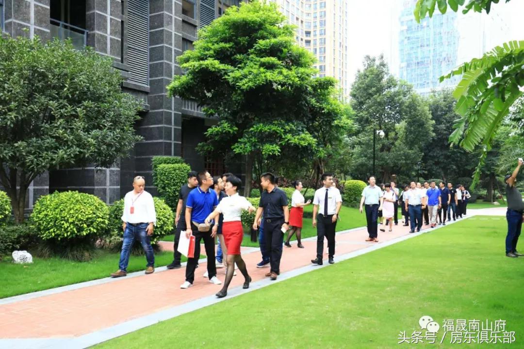 闽系房企开发商,闽系开发商现状