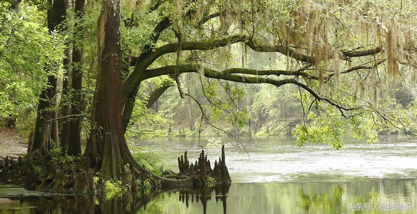 德国第一大城市慕尼黑,慕尼黑僧侣之城