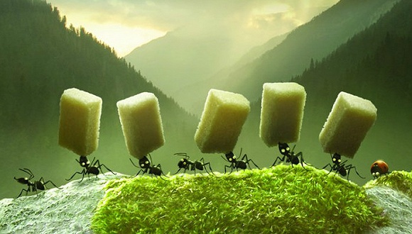 怎么样吃肯德基才会最省钱,吃肯德基有什么秘诀可以便宜吗