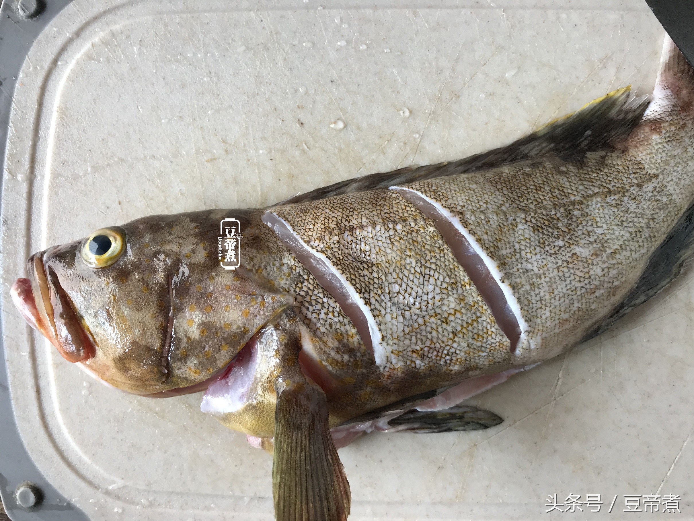 鱼汤怎么做才鲜美好喝,鱼汤怎么烧比较好喝