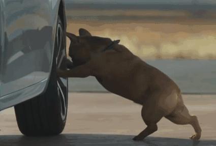 深圳女子从32楼跳下,深圳女子从29楼跳下