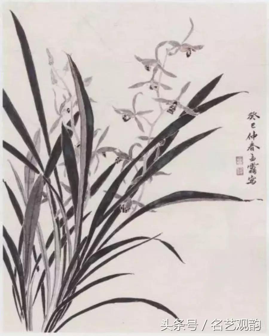 中国画技法之没骨画法的经典范画,没骨画法和写意画的区别