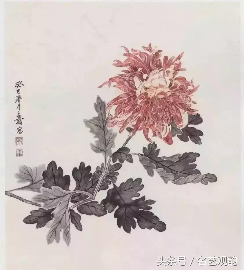 中国画技法之没骨画法的经典范画,没骨画法和写意画的区别
