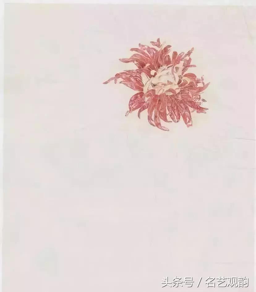 中国画技法之没骨画法的经典范画,没骨画法和写意画的区别