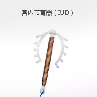 避孕日是每年的几月几日,世界避孕日历年主题