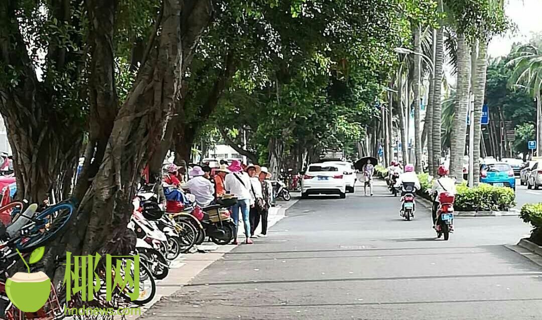 佳宁娜月饼票,佳宁娜月饼卖多少钱