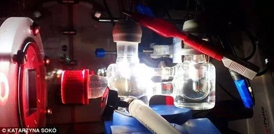 人工光合作用的效率,人工光合作用需要解决哪些问题