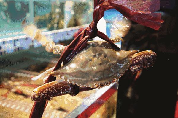 一千斤巨型龙虾,18斤巨型龙虾
