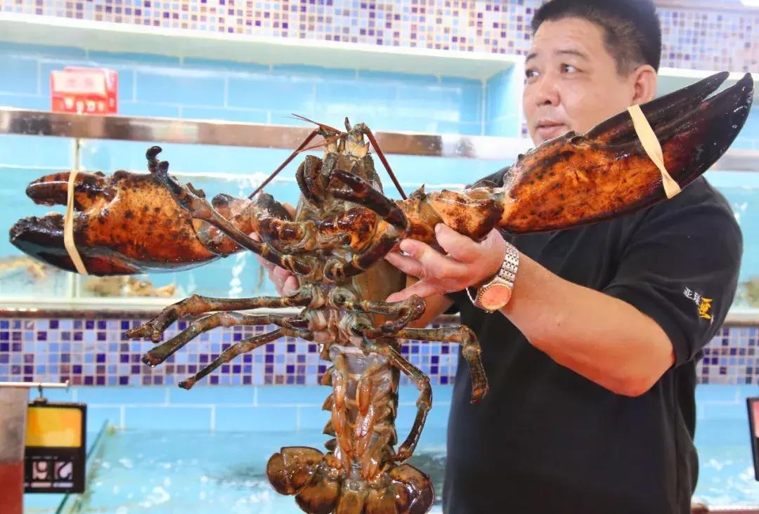 一千斤巨型龙虾,18斤巨型龙虾