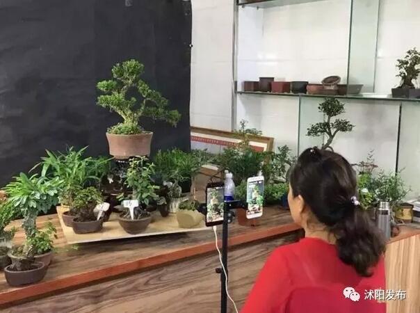 花农变网红直播大棚,看乡村变化直播