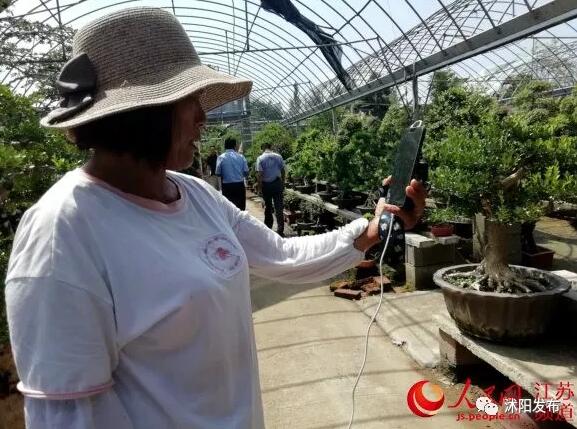 花农变网红直播大棚,看乡村变化直播