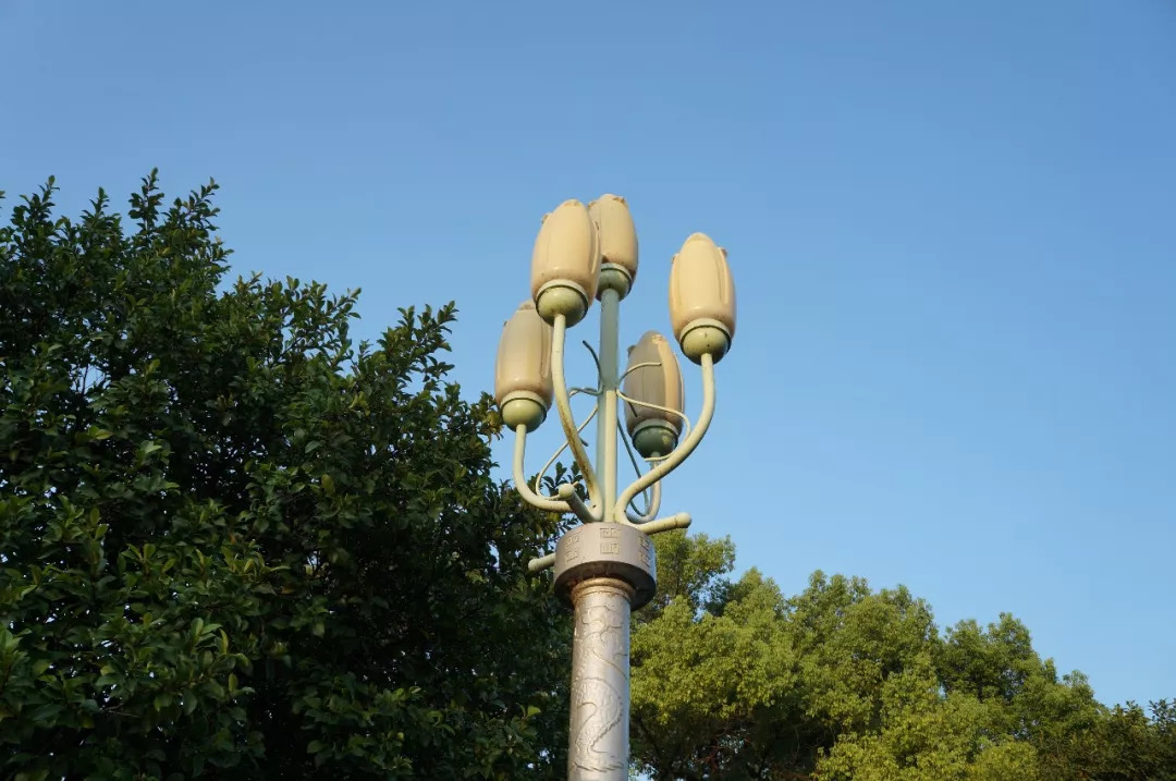 真正的枕西湖水而眠｜西子宾馆，全杭州离西湖最近的床