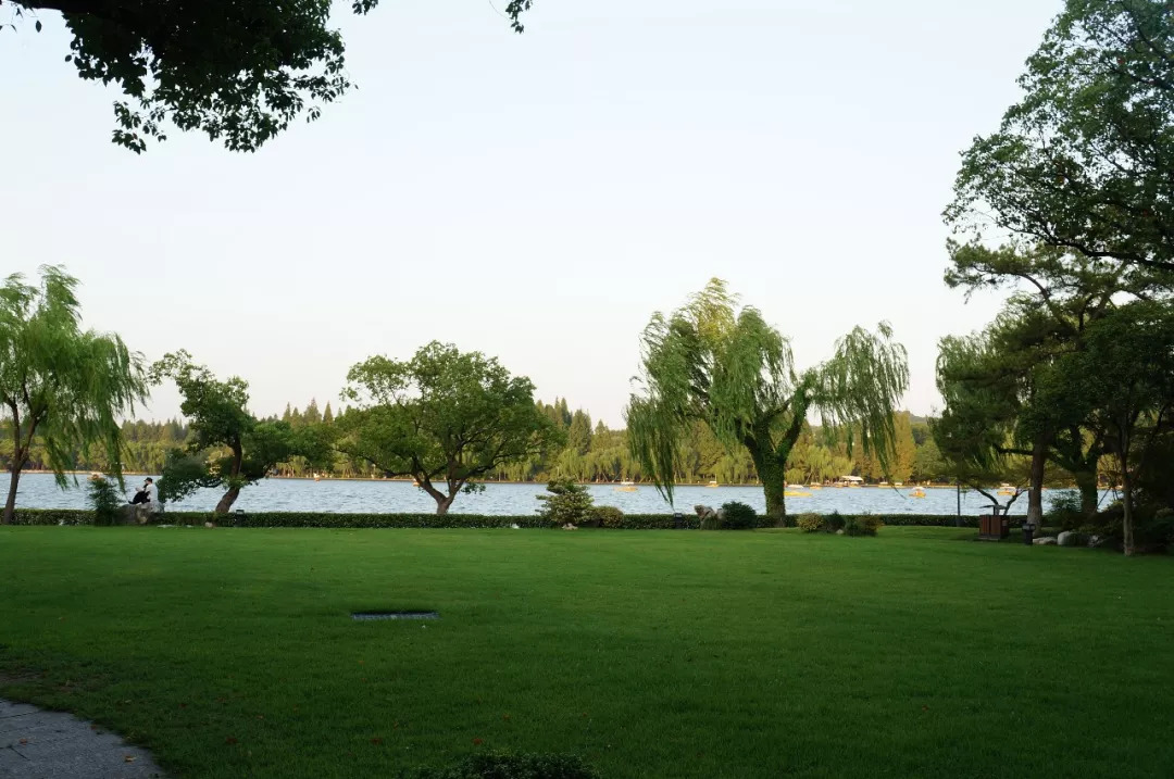 真正的枕西湖水而眠｜西子宾馆，全杭州离西湖最近的床